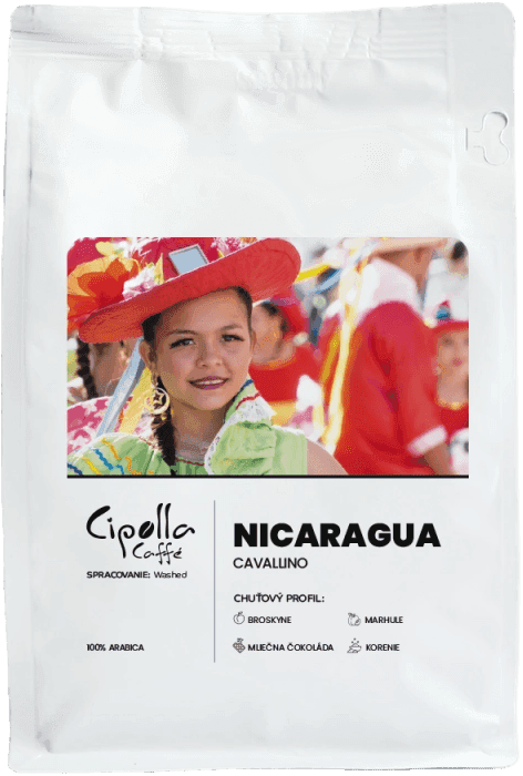 Nicaragua Cavallino